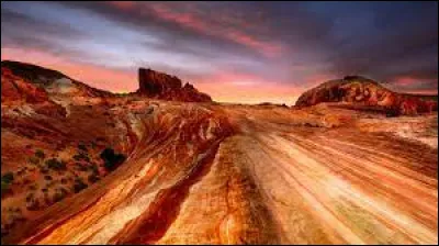 Quel acteur est à l'écran dans le long-métrage "Nevada Smith" ?