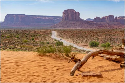 Quel acteur est le personnage principal de la trilogie "Indiana Jones" ?