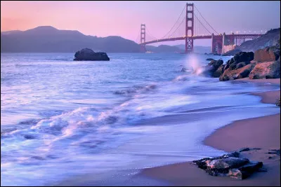 Qui est l'auteur du livre "L'ami américain" ?