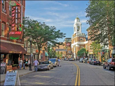 Quel État Napoléon Bonaparte a-t-il vendu aux États-Unis ?