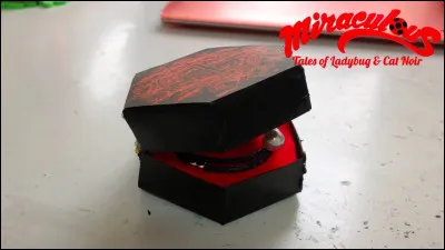 Pourquoi Ladybug te choisirait-elle ?