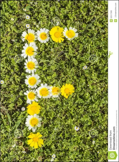 Quelle est cette lettre ?