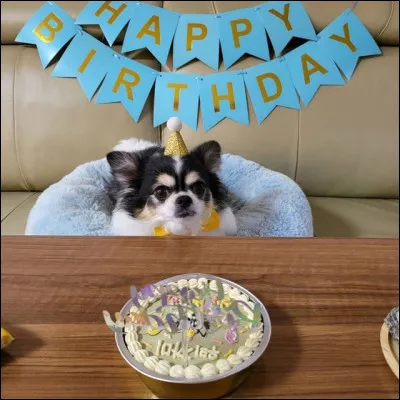 À qui appartient Kkami ?