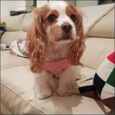 À qui appartient Berry ?