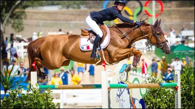 Quel est ce cheval en CSO ?