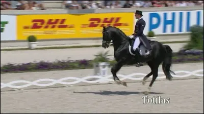 Quel est ce cheval de dressage ?