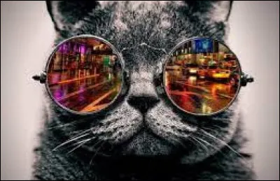 Comment voudrais-tu que soit son style ?