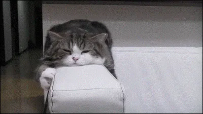 Pourquoi fais-tu ce test ?