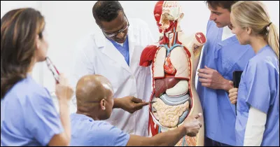 Quelles sont les complications possibles du diabète non traité ?