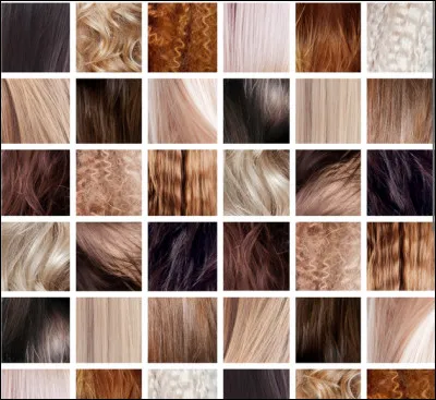 De quelle couleur sont tes cheveux ? (Suite)