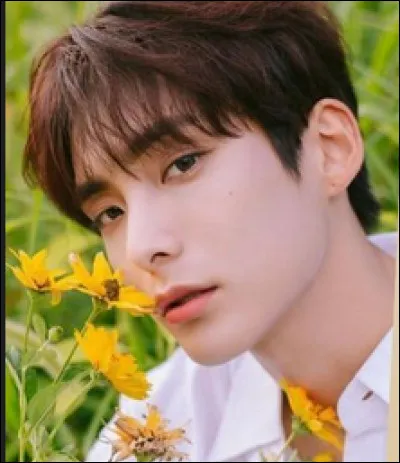 Qui est cette idole ?