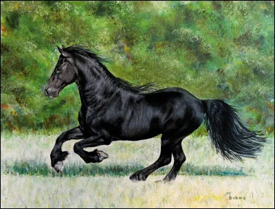 La peau d'un cheval noir est :