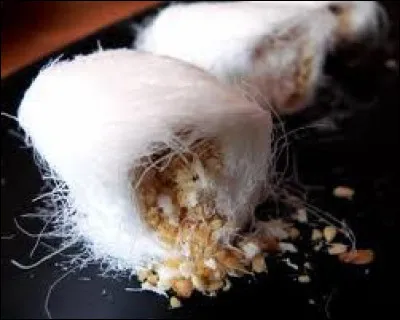 Comment s'appelle cette confiserie chinoise, faisant penser à la barbe à papa ?