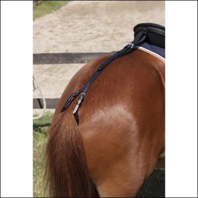 Qu'est-ce que c'est ?