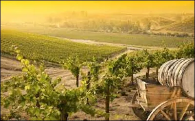 Il existe un seul vignoble urbain possédant une Appellation d'Origine Contrôlée, totalement implanté sur une grande agglomération ; quelle est-elle ?