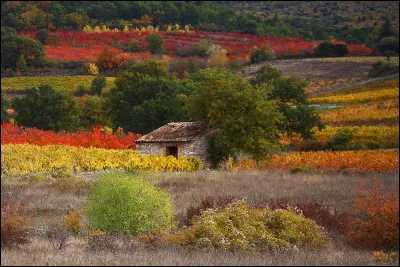 Quel alcool sert à la préparation de la sauce Cumberland ?