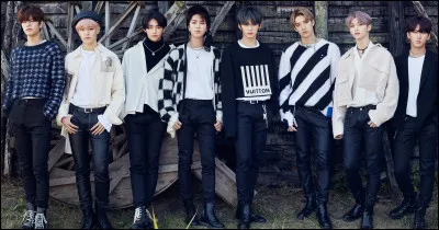 Qui est ton bias dans Stray Kids ? Partie 2