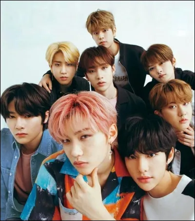 Qui est ton bias dans Stray Kids ?