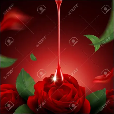 A quel moment Marinette tombe-t-elle amoureuse d'Adrien ?