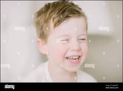 Qu'est-ce qu'un sansureau ?