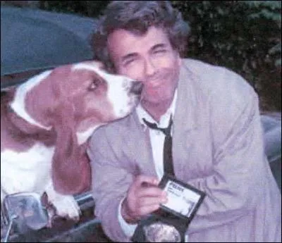 Le chien de Columbo est un basset. .
