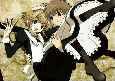 Dans quel manga voit-on ces personnages ?