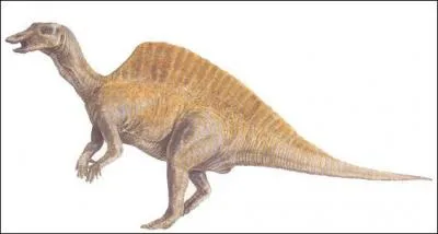 Comment s'appelle ce dinosaure ?