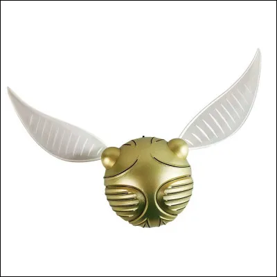 Et enfin, 
Quel est ce sport ?