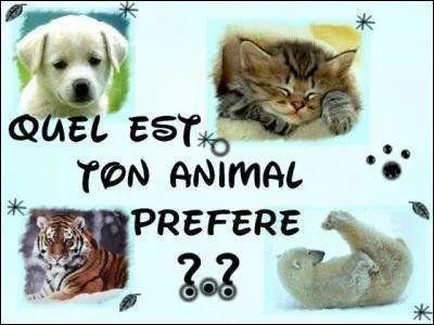 Même question. Quel animal préfères-tu ?