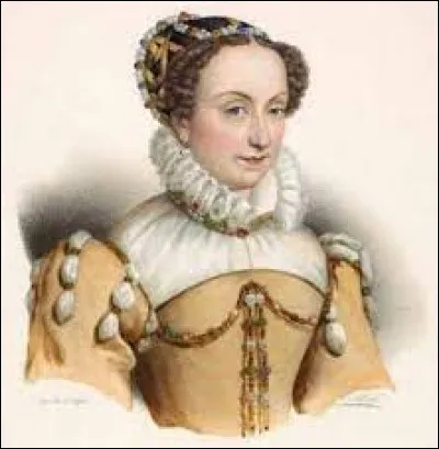 Jeanne d'Albret (Jeanne III reine de Navarre) était la nièce du roi François 1er.