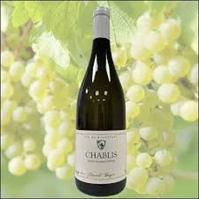 Le Chablis est-il un vin blanc de Bourgogne ?