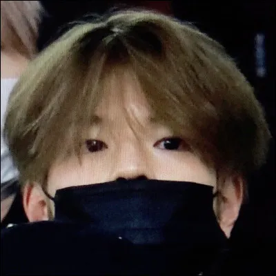 Quels sont les mois pendant lesquels le plus de membres sont nés ?