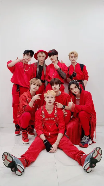 Qui est le maknae (le plus jeune) ?