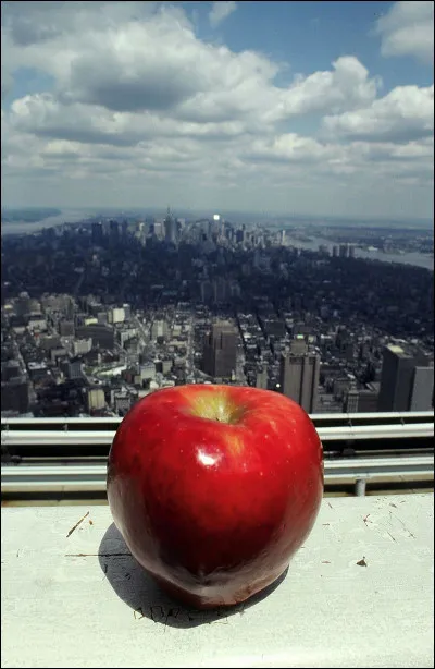 Quelle ville est surnommée "Big Apple" aux États-Unis ?