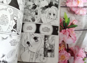 Quiz Manga - spcial princesse Kilala