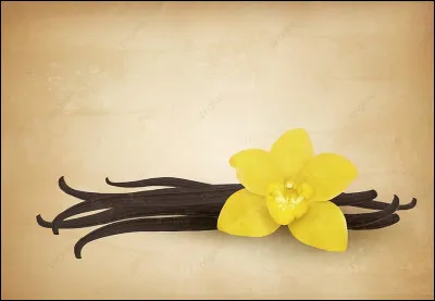 Selon une expression enfantine, si les filles sont à la vanille, les gars sont ...