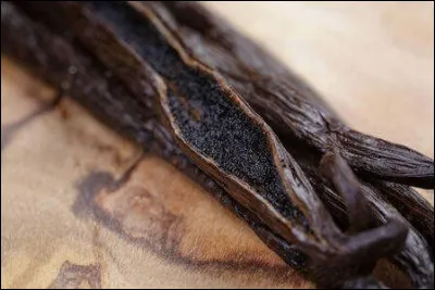 Quel acteur accompagne Penelope Cruz dans le film "Vanilla Sky" ?