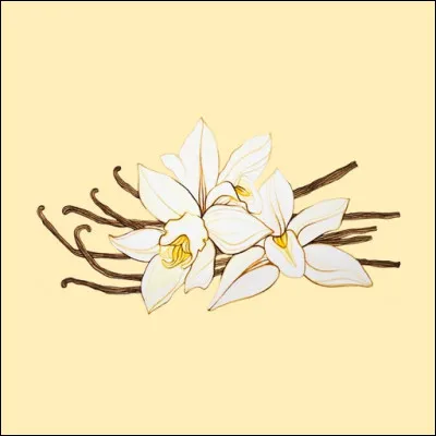 Le nom de couleur "vanille" désigne dans le domaine de la mode et de l'habillement une nuance de ...