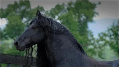 Combien consomme-t-il d'eau par jour ?