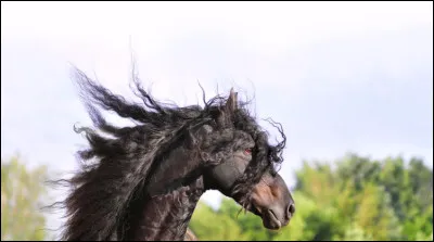 Et pour finir, que signifie l’A.F.C.F ?