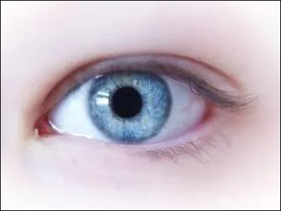 De quelle couleur veux-tu que soient ses yeux ?