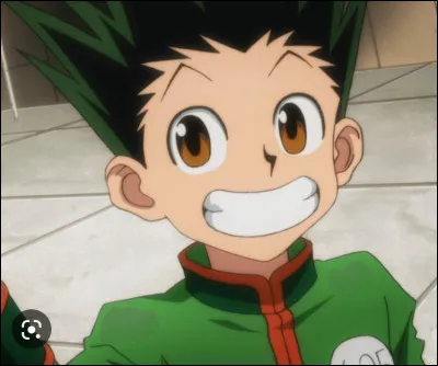Gon est-il le meilleur ami de Kirua ?