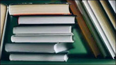 Ayant un goût prononcé pour les livres, je me trouve être le bibliothécaire de la garderie ; je suis...