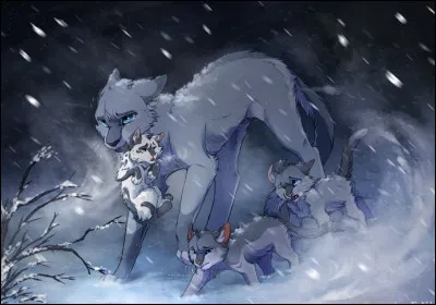 Malheureusement, il neige maintenant. Les chatons grelottent, dautres saffalent par terre, en criant quil ne veulent plus bouger ou quils dormiront plusieurs lunes une fois tous rentrés. Tu as maintenant pas moins de cinq chatons sur le dos, sagrippant de leurs petites griffes. Tu es épuisé, mais reconnais la frontière au loin. Tu reprends espoir.