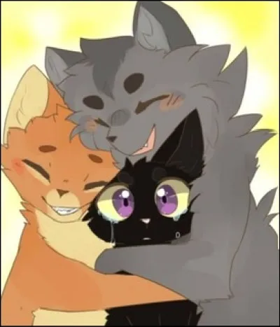 Il te nomme Rêve Perdu, puis tous tes nouveaux camarades te félicitent et te souhaitent la bienvenue. Tes amis te demandent pardon et tout redevient normal, à part que tu es guerrier et tes amis encore apprentis. Tu reviens souvent voir ton ami Braise, et ton chef lui propose même de rejoindre le clan. Une lune plus tard, il est nommé guerrier avec tes amis.