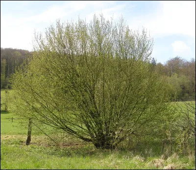 Lequel de ces films de Jean-Pierre Mocky est sorti en 1986 ?