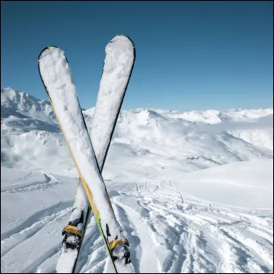 Comment sont les cadavres pour Francesco rosi, en 1976 ?