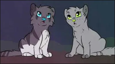 Étant chaton, à quoi préférais-tu jouer ?