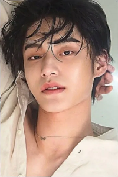 Avant ses débuts avec INX combien de temps fut-il stagiaire ?