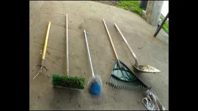 Au club hippique, on te propose de nettoyer le crottin, tu :